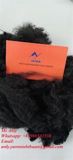 Cotton Black Fibre
