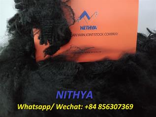 Polyester Fibre