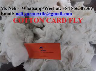 Natural Cotton Fibre