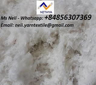 Polyester Fibre