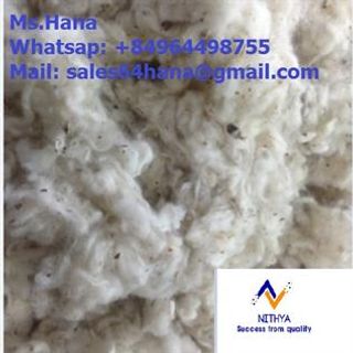 Cotton Natural Fibre