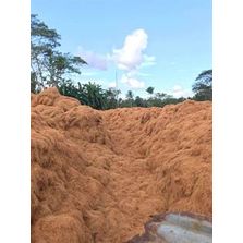 Coir Fibre