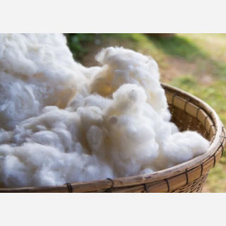 Hollow Conjugated Siliconized Polyester Fibre