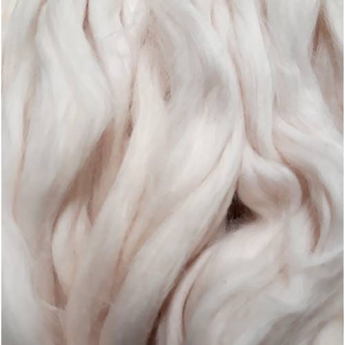 Cotton Fibre