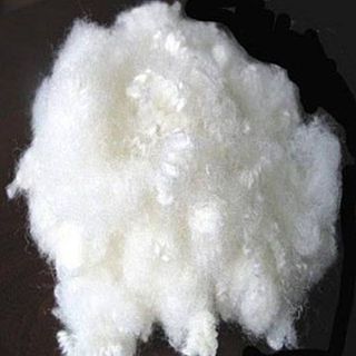 Cotton Raw White Fibre