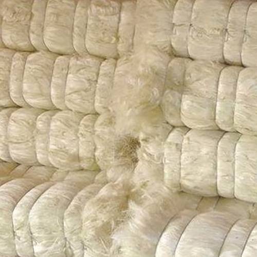 Natural White Colour Sisal Fiber 