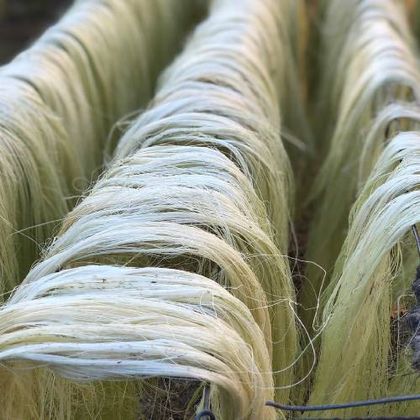 Sisal Fibre