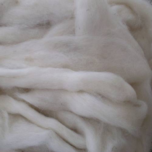 Cashmere Fibre