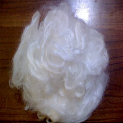 Viscose Fibre