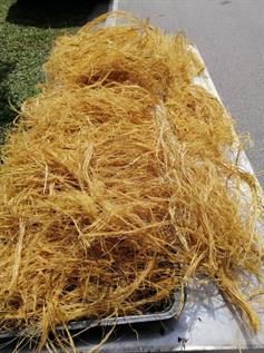 Bamboo Fibre Suppliers - Wholesale Manufacturers and Suppliers For