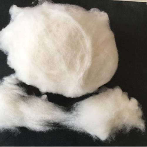 Cashmere Fibre