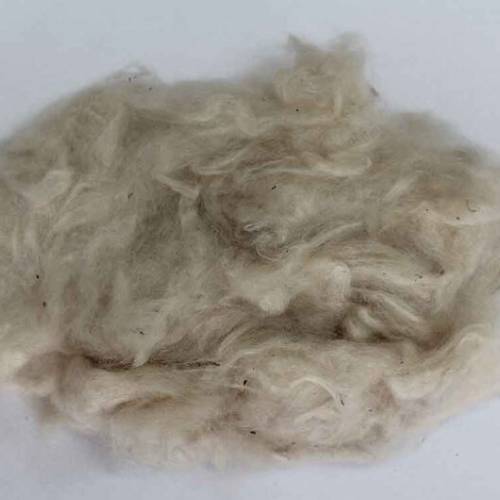 Kapok Fibre