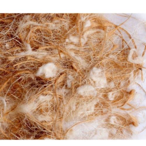 Sisal Fibre