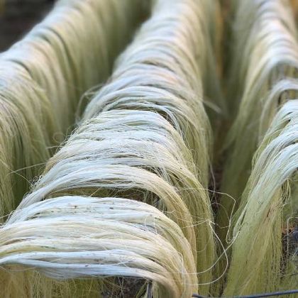 Sisal Fibre