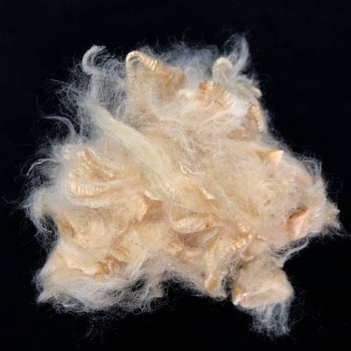 Soybean Fibre