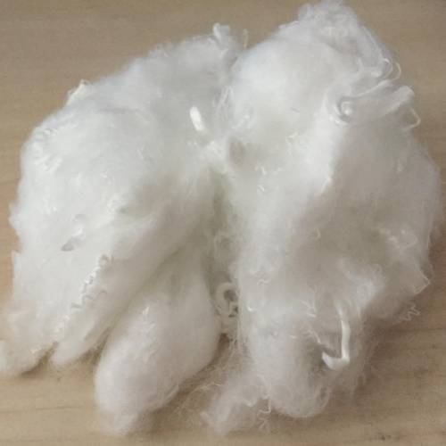 Polyester Fibre