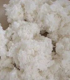 Cotton Linter