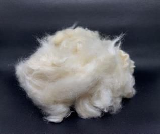 Natural Kapok Fibre