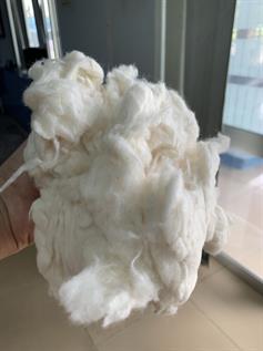 Natural Comber Noil