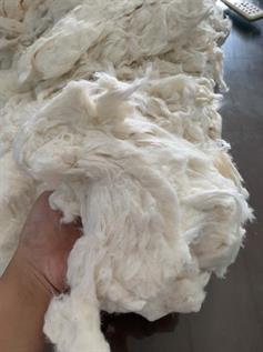Natural Comber Noil
