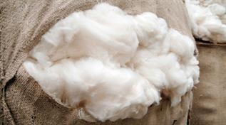 Natural Cashmere Fibre