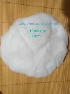 Natural Cashmere Fibre