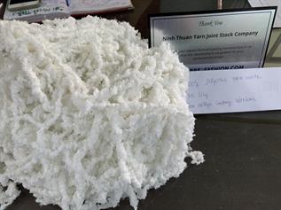Natural Fibre Waste