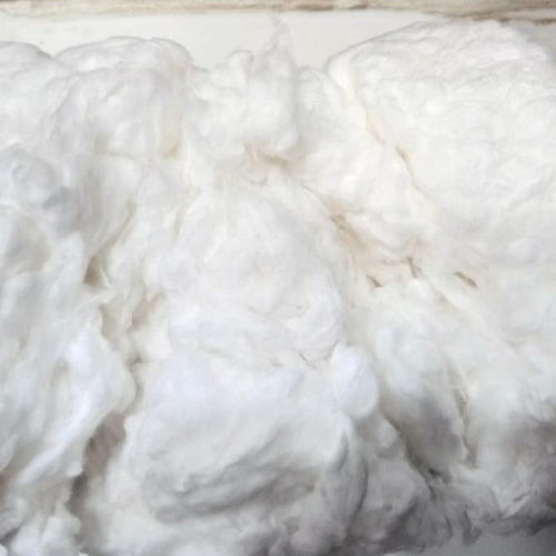 Raw Cotton Fibre