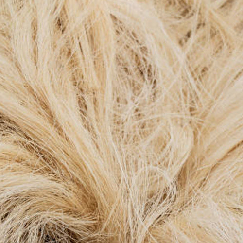 Natural Sisal Fibre