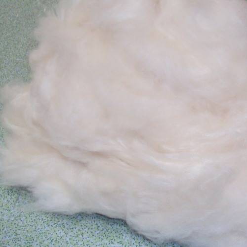 Pure Kapok Fibre