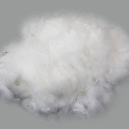 Polyester Fibre