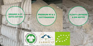 Cotton Fibre