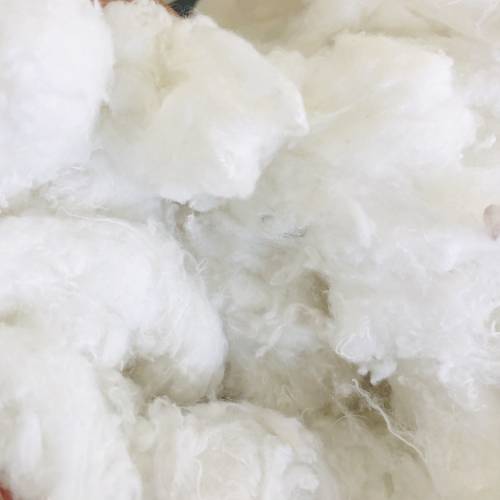 Polyester Fiber Waste