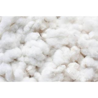 Raw Cotton Fibre Buyers - Wholesale Manufacturers, Importers ...