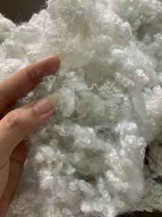 Staple Fibre