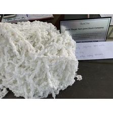 Natural Staple Fibre
