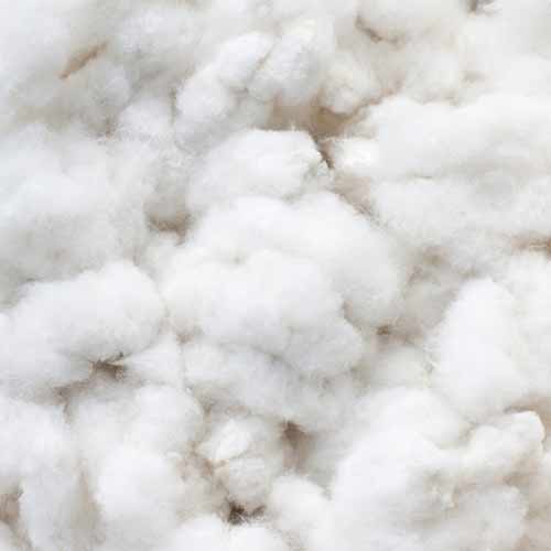 Pima Raw Cotton Fibre Buyers - Wholesale Manufacturers, Importers ...