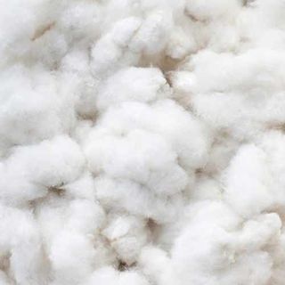 Pima Raw Cotton Fibre