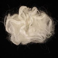 Silk Fiber Throwster
