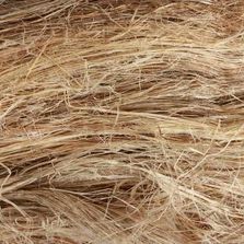 Long length of Hemp Fibre