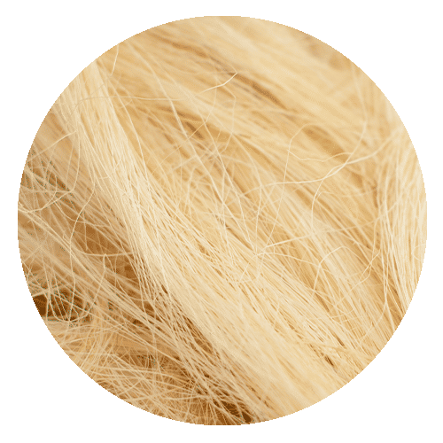 Natural Sisal Fibre