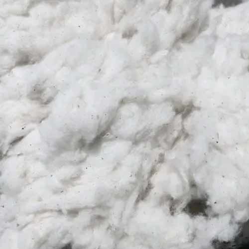 Cotton OE FS Waste