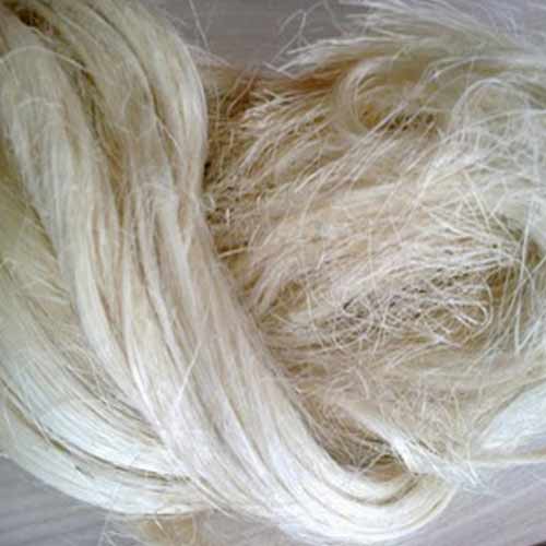 Virgin Natural Sisal Fibre