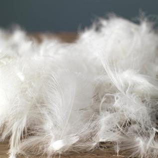 Natural Duck Fibre