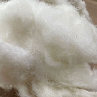 Raw White Cotton Fibre