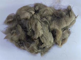 Natural Cashmere Fibre