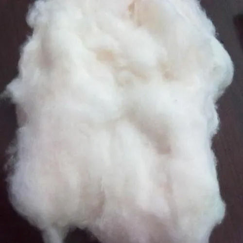 Cotton Fibre Bales