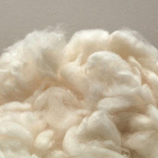 Cashmere Carded and Combed Fibre