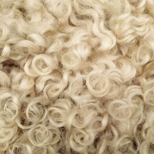 Natural Wool Fibre