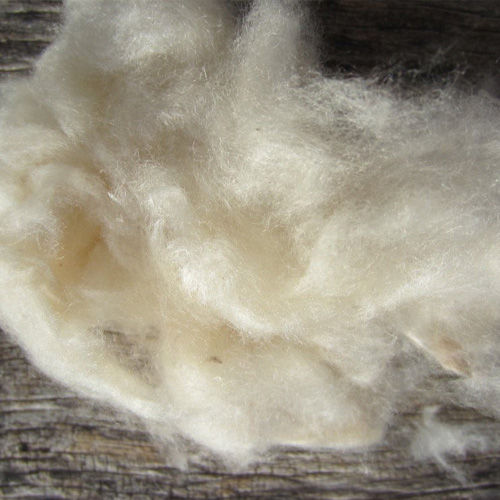 Natural Kapok Fibre